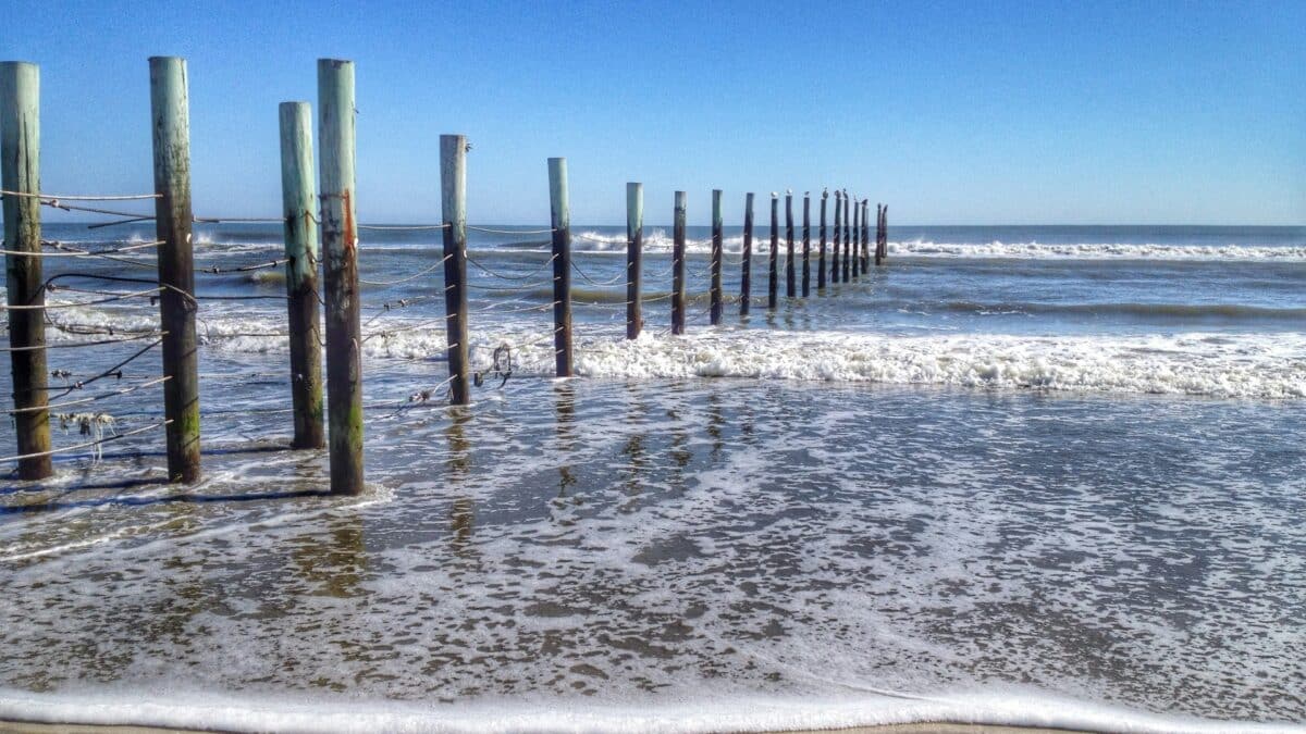 Shutters on the Banks - Pier